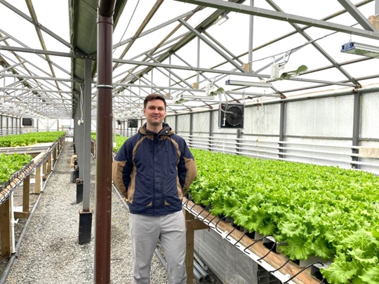 Фермер из Петрозаводска выращивает один из лучших листовых салатов в России