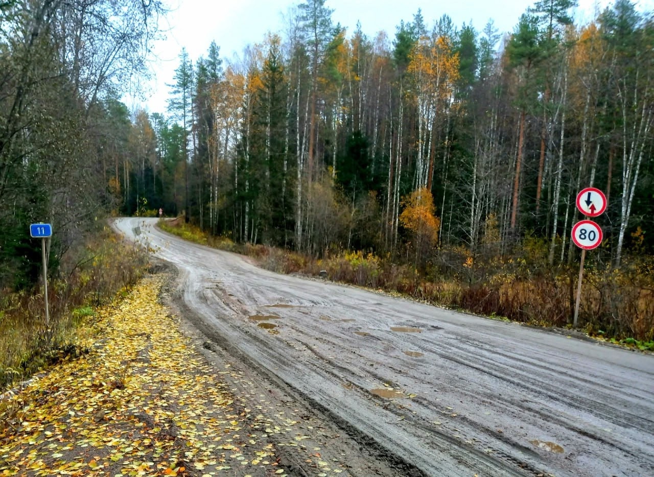 Жители Карелии потребовали ремонта опасной трассы Питкяранта-Суоярви