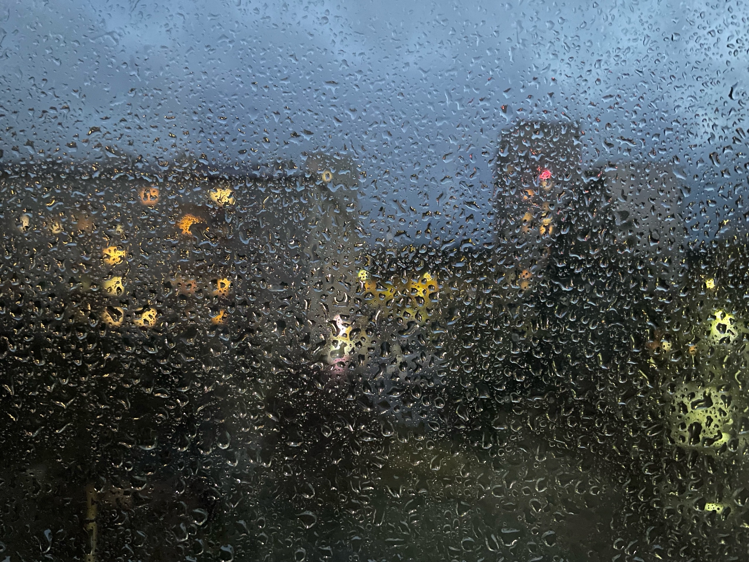 То дождь со снегом и туман, а где-то без осадков и гололедица: узнали о выходках первого дня ноября в Карелии То дождь со снегом и туман, а где-то без осадков и гололедица: узнали о выходках первого дня ноября в Карелии