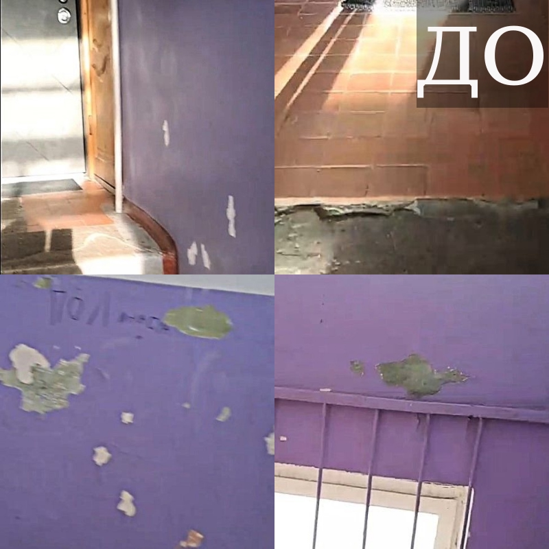 По заявлению жительницы Сегежи госкомитет заставил управляшку сделать ремонт в подъезде