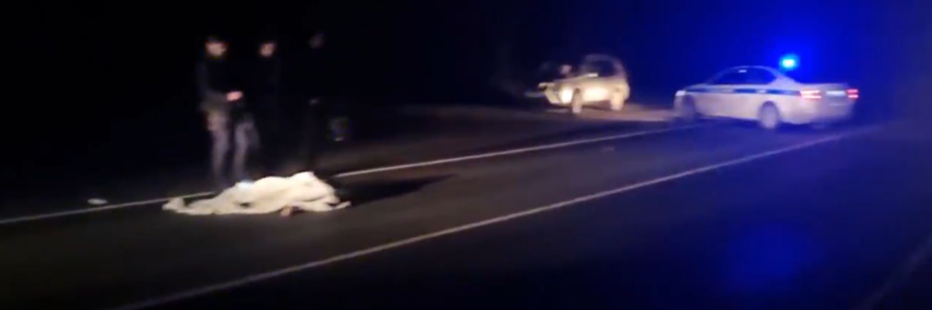 Полиция ищет очевидцев смертельной аварии в Медвежьегорском районе: на трассе погибла пешеход Полиция ищет очевидцев смертельной аварии в Медвежьегорском районе: на трассе погибла пешеход