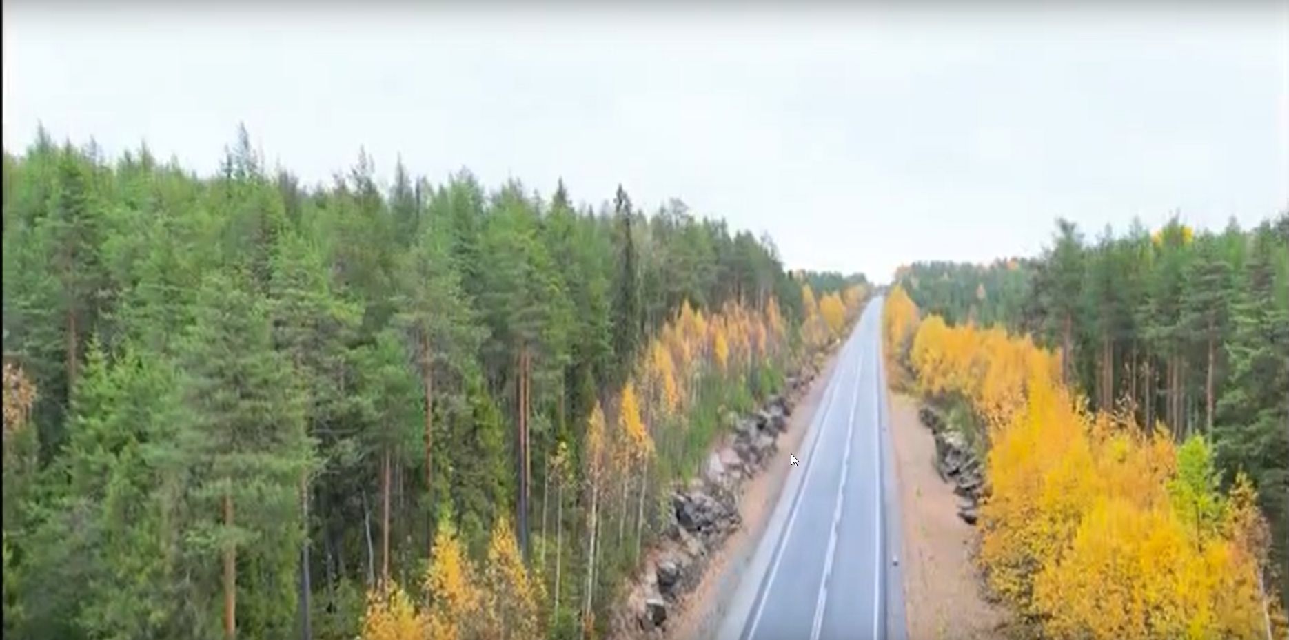 Режим повышенной готовности ввели в Карелии из-за угрозы ЧС на трассах республики