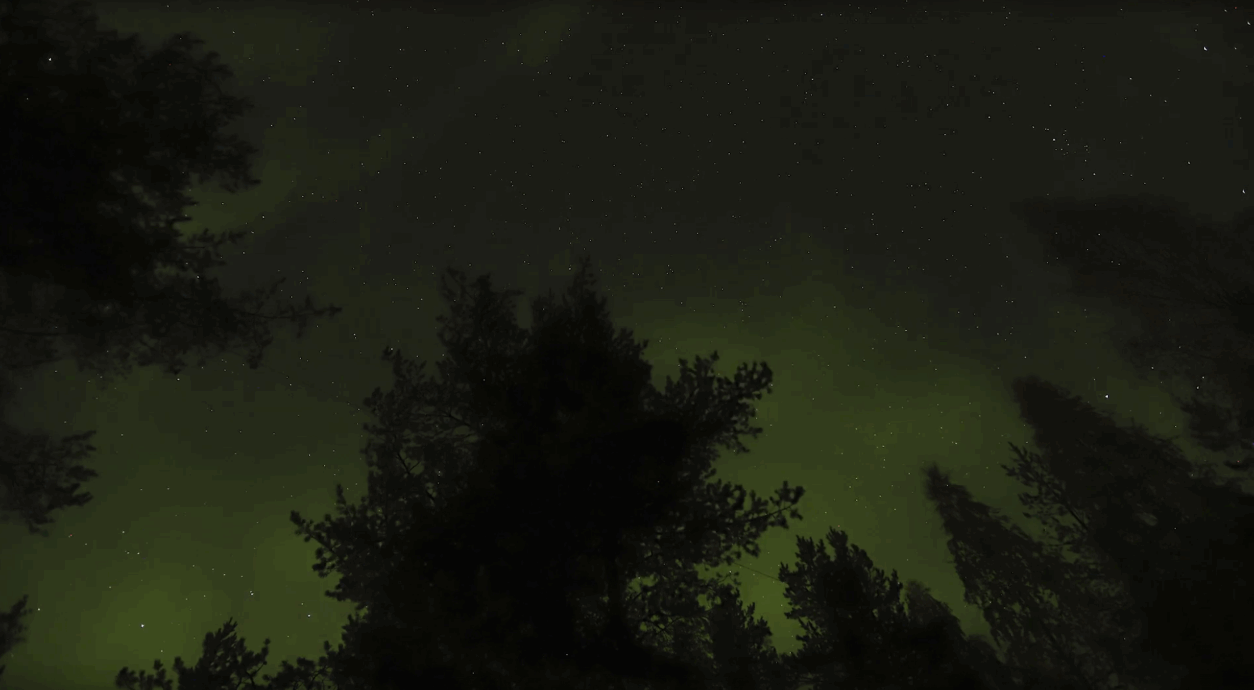 Северное сияние в движении удалось заснять на таймлапс в Карелии