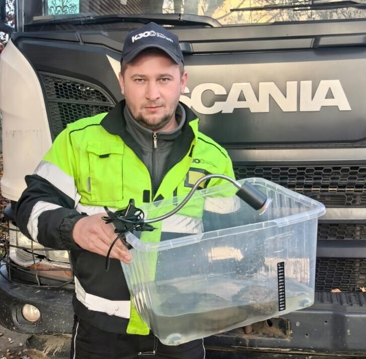 Сотрудник «КЭО» спас красноухих черепах на помойке в Петрозаводске