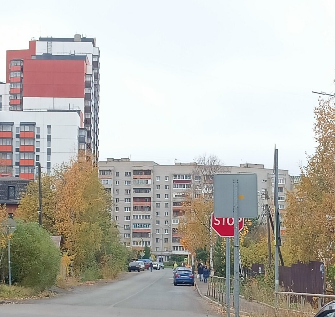 Автомобилисты в Петрозаводске возмутились дорожному знаку на одной из улиц