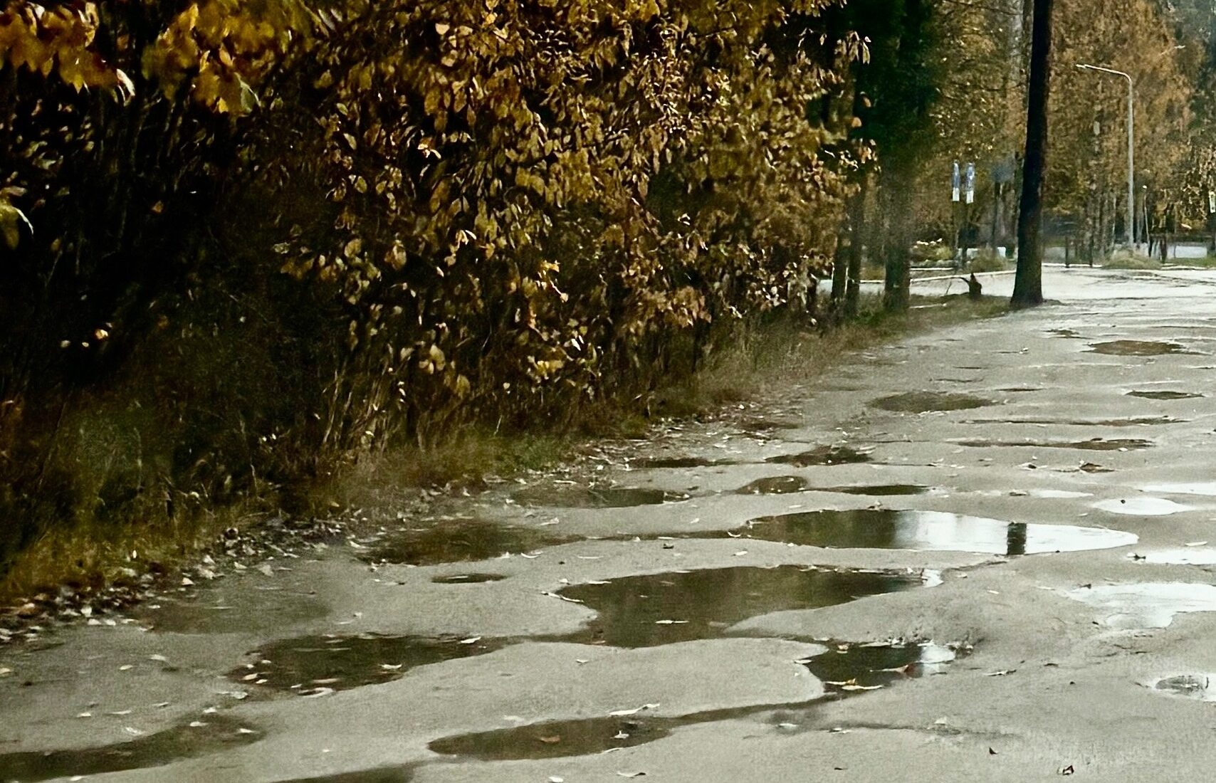 Дорога в поликлинику в Костомукше покрылась «лунными кратерами»