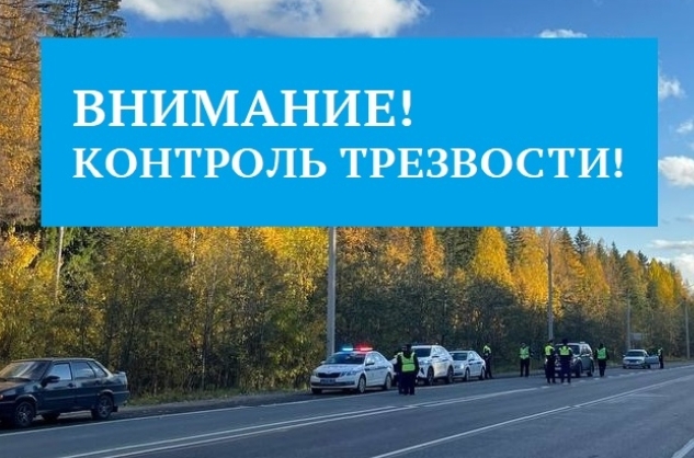 Расслабившихся на долгих выходных водителей будут ловить на дорогах Карелии Расслабившихся на долгих выходных водителей будут ловить на дорогах Карелии