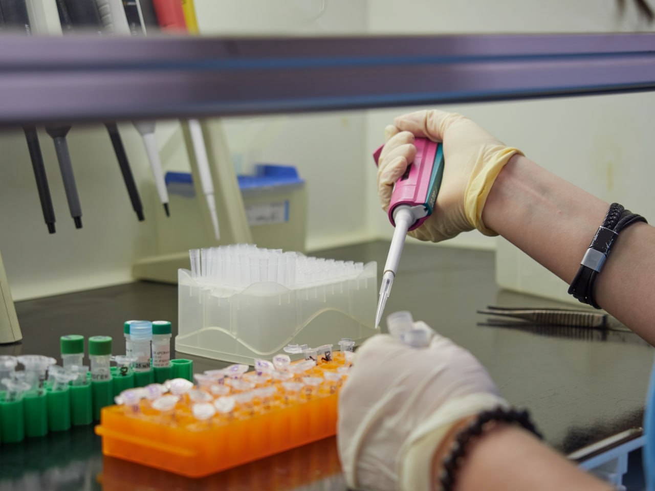 Карельская наука делает шаги к участию в мировых исследованиях