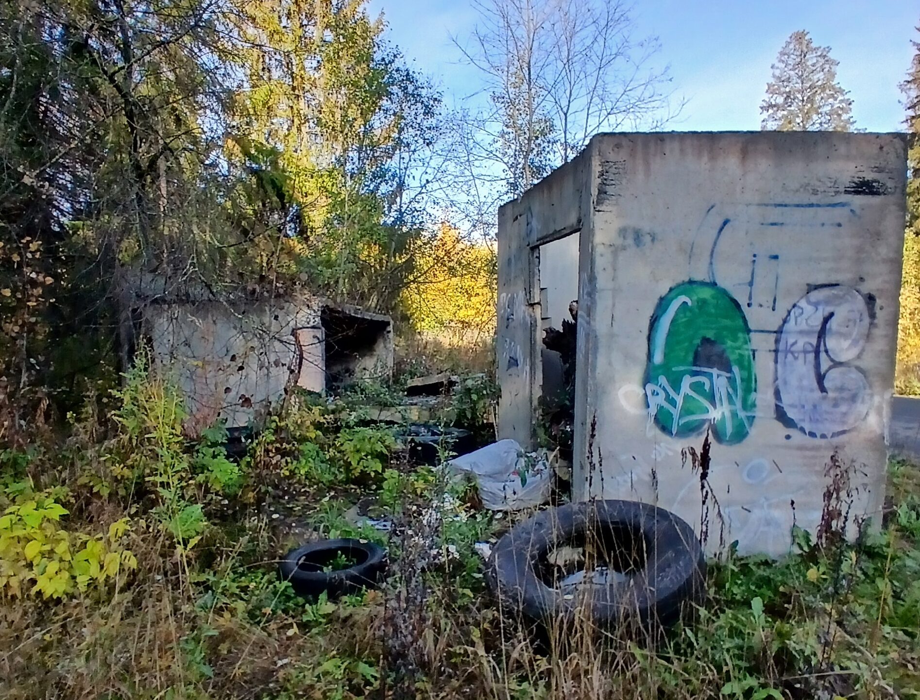 Жители Кукковки возмутились свалкам мусора в лесу