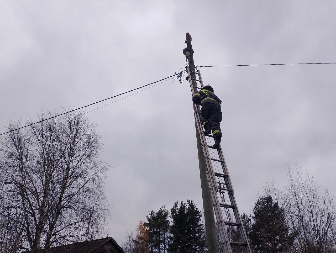 Хвостатого руфера пришлось спасать в одном из поселков Карелии