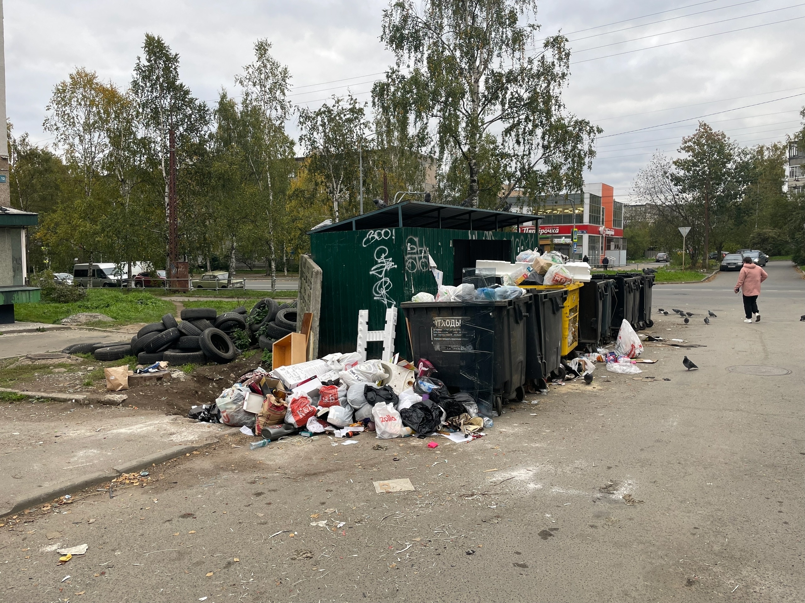 Жители Петрозаводска пожаловались на свалку рядом с детским садом