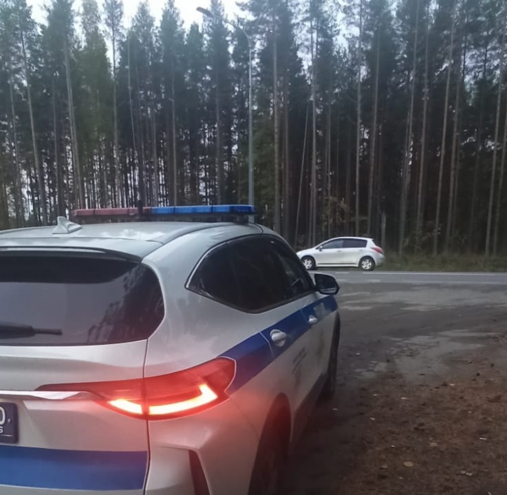 На маминой машине подшофе: повторное пьяное вождение привело молодого пудожанина на скамью подсудимых