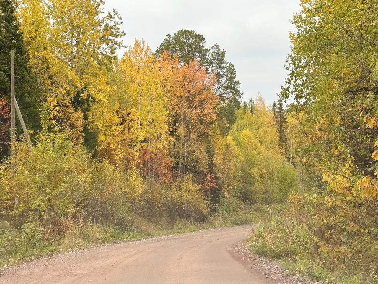 Дачникам рассказали, за что будут штрафовать в 2025 году