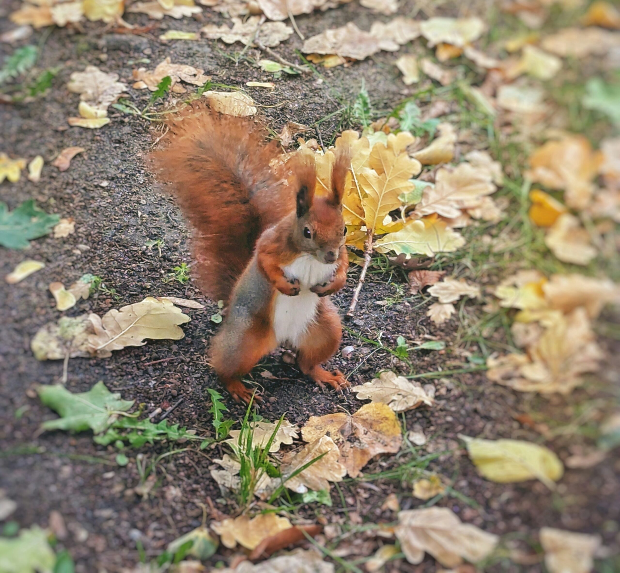 Легкая куртка и без зонта: прогноз погоды на 19 октября