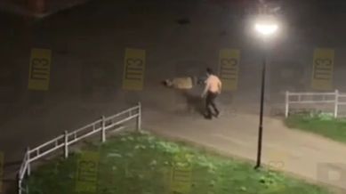 Ночная драка у бара произошла в Петрозаводске