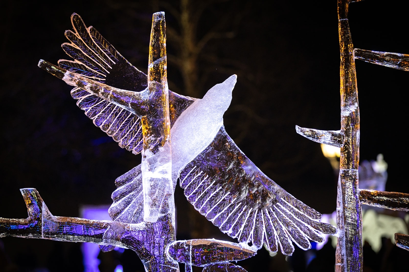 В Петрозаводске стартовал прием заявок на популярный зимний конкурс «Гиперборея»