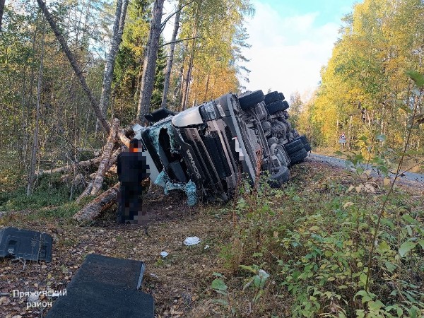 Водитель рухнувшего в кювет лесовоза пострадал в Пряжинском районе