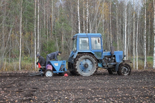 В Карелии появилась первая ферма по выращиванию чеснока