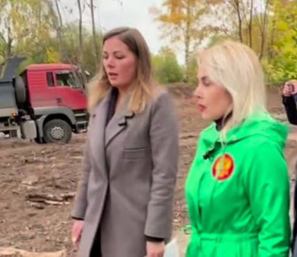 Вековые аварийные тополя снесли в Государевом саду в Петрозаводске