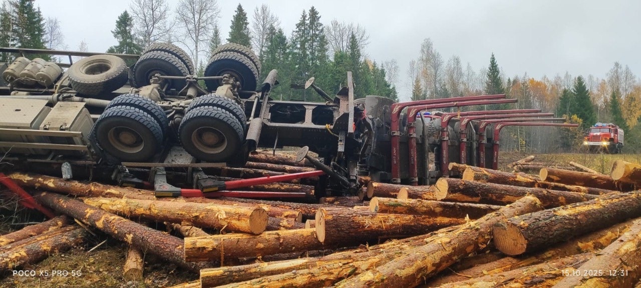 Погибшего водителя лесовоза доставали спасатели: появились подробности аварии на трассе в Карелии