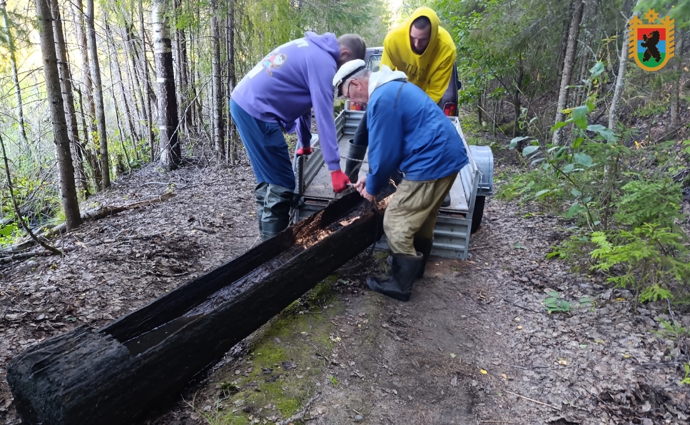 Редкую лодку-долбленку, найденную в ламбушке, передали в карельский музей