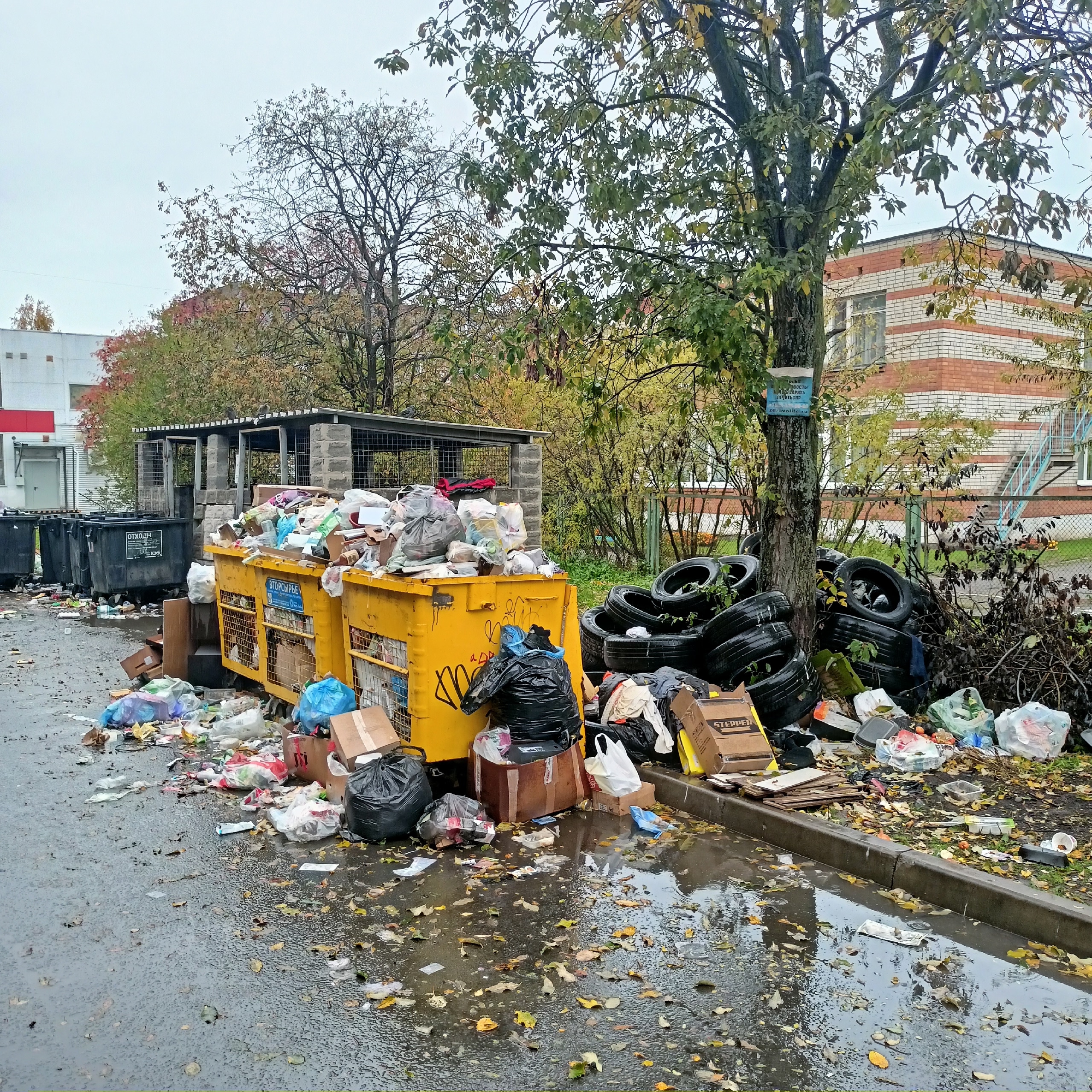 Детский сад на Ключевой оброс мусором от помойки