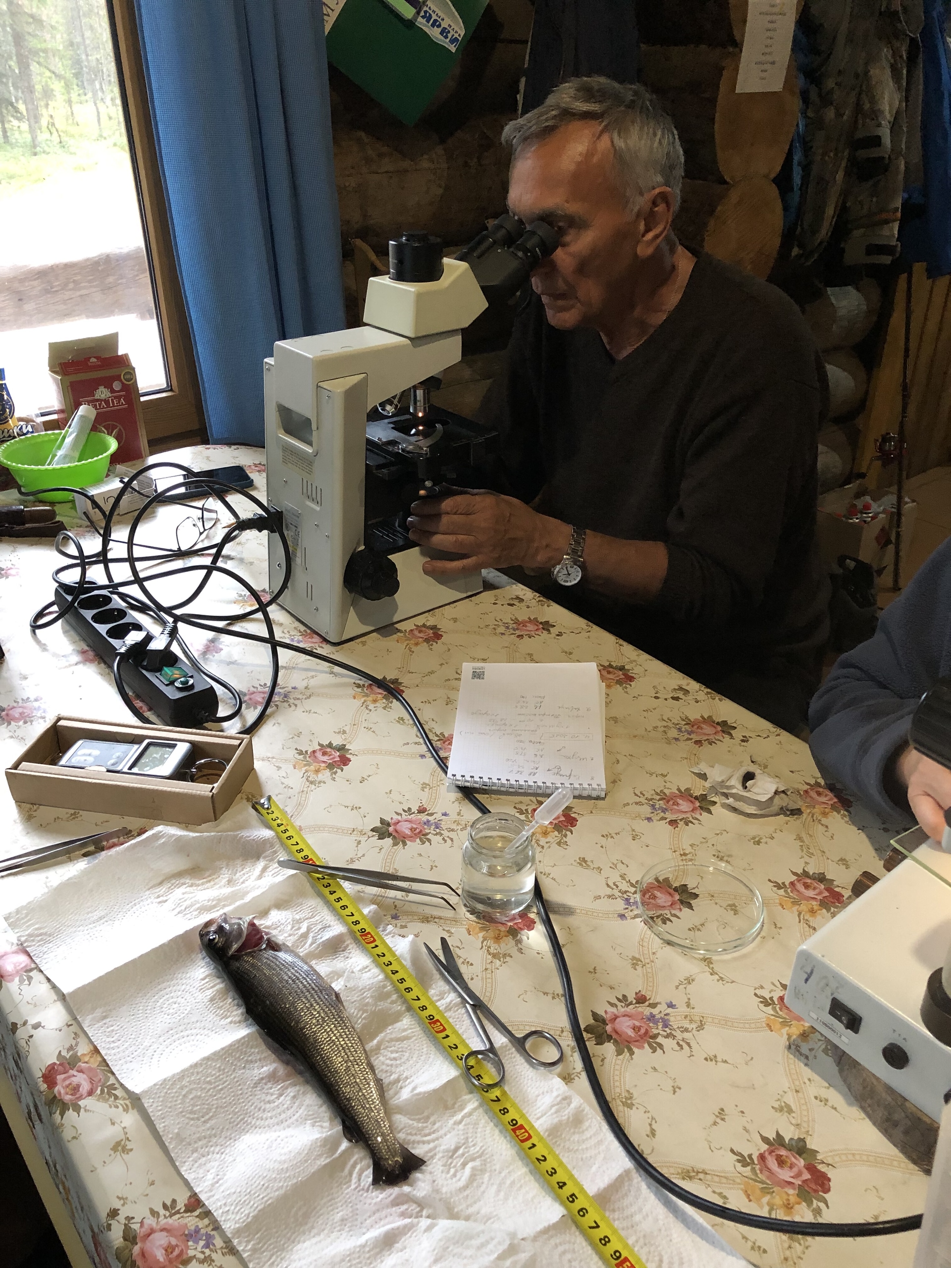 Зоологи и ихтиопаразитологи начали масштабное исследование природы в нацпарке «Паанаярви»