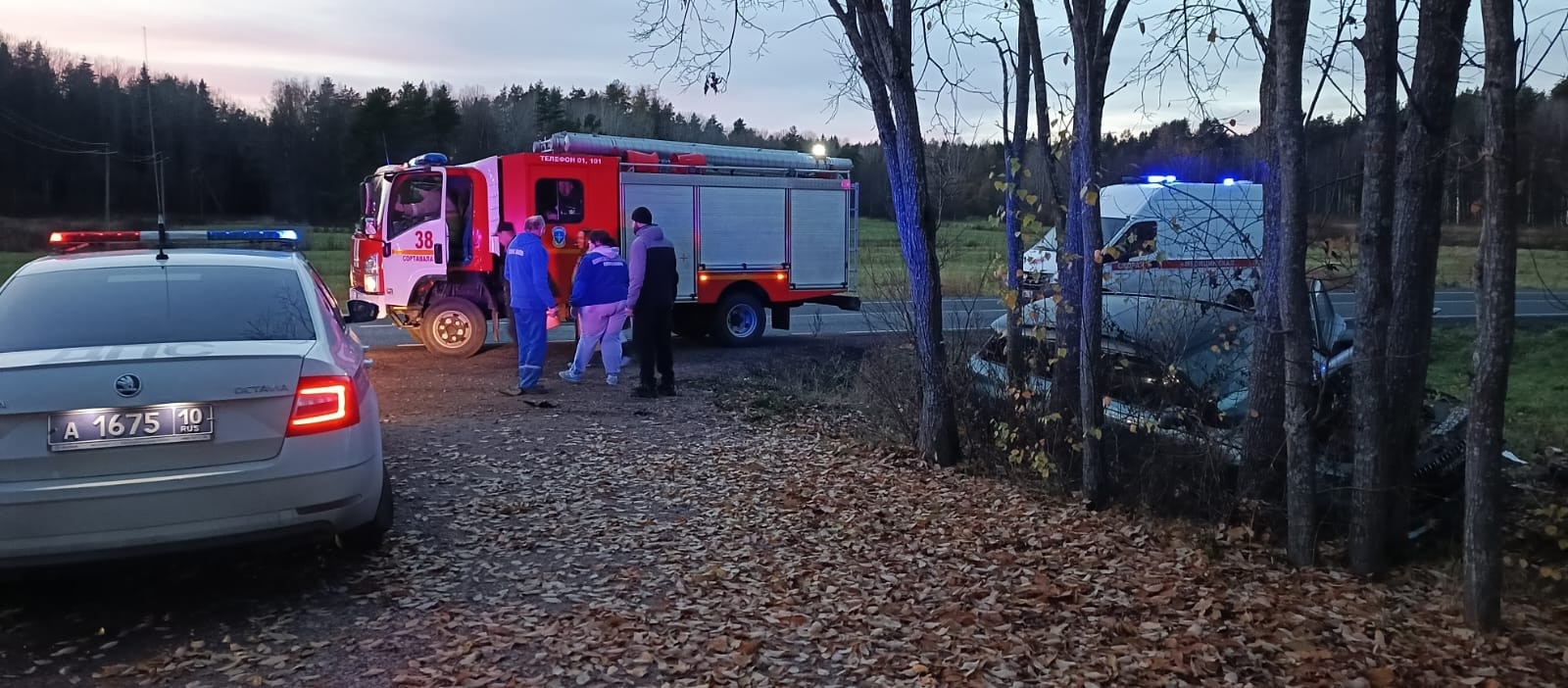 Автомобиль с пассажирами вылетел в кювет около Сортавала