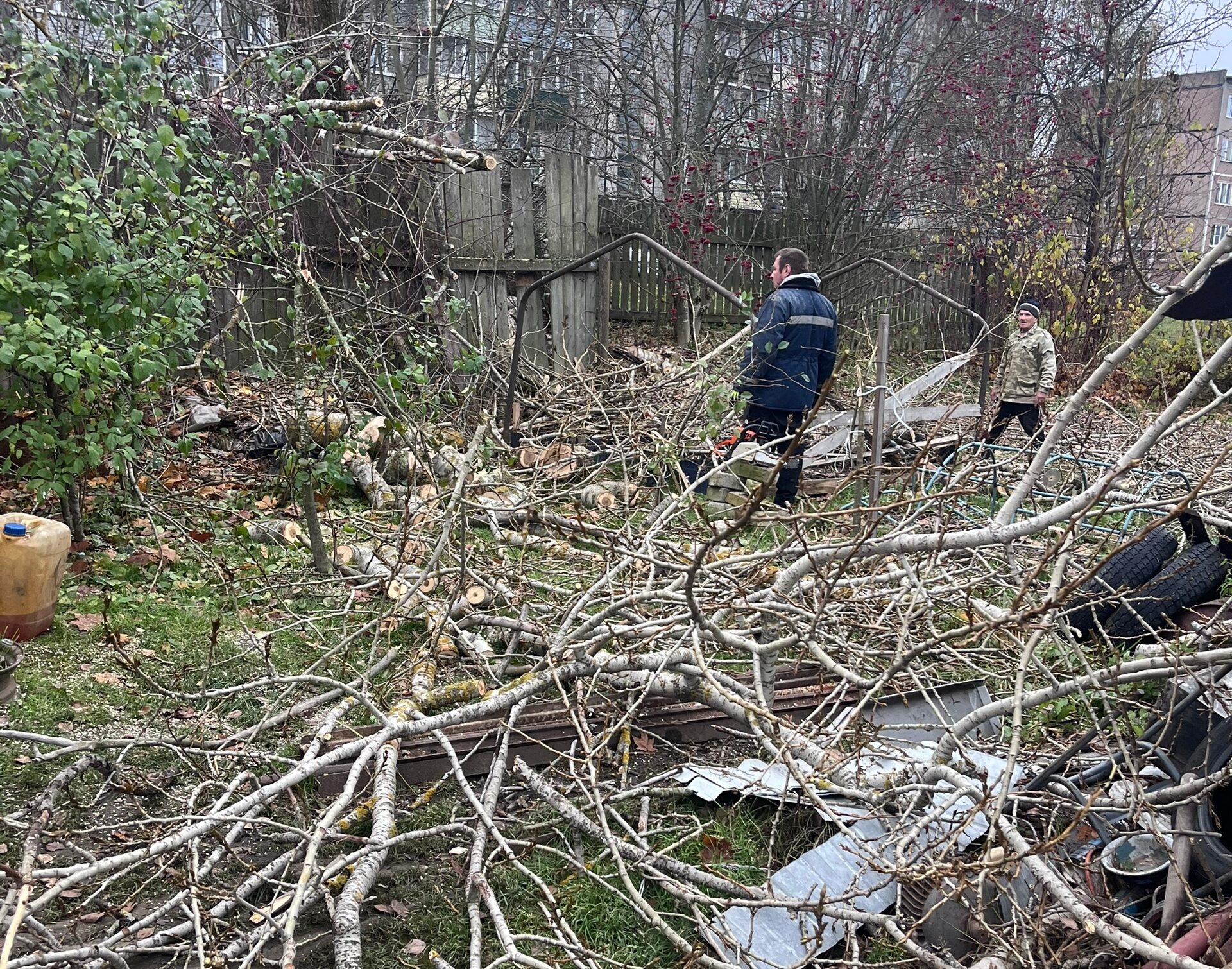 Деревья после спила повредили строения на участке жительницы Карелии