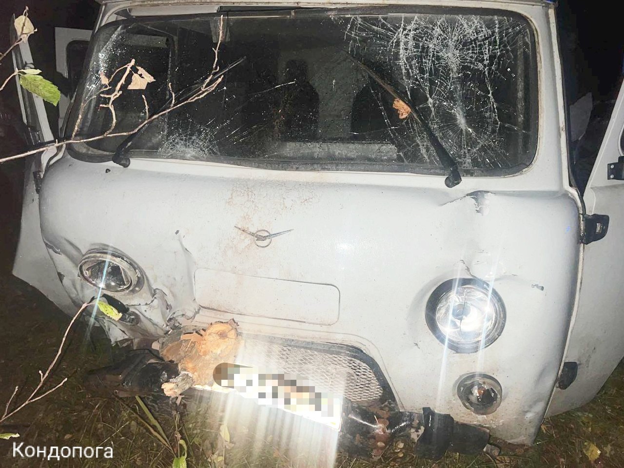 УАЗ налетел на упавшее дерево под Кондопогой
