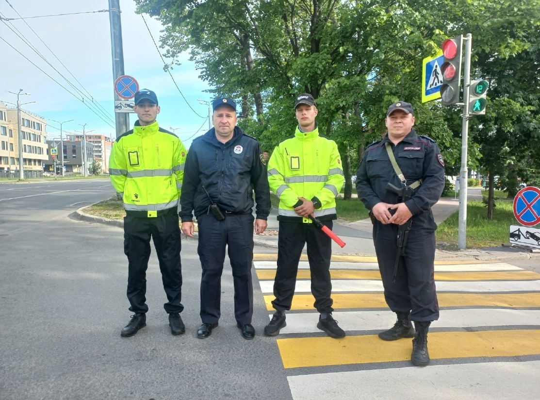 Петрозаводчан пригласили в народную дружину «Бузина»