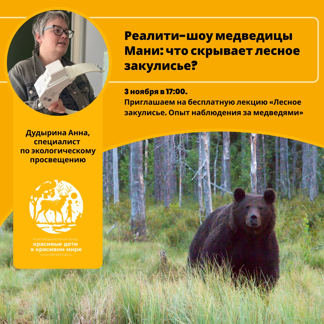 Реалити-шоу медведицы Мани: жителям Карелии расскажут о закулисной жизни хищников