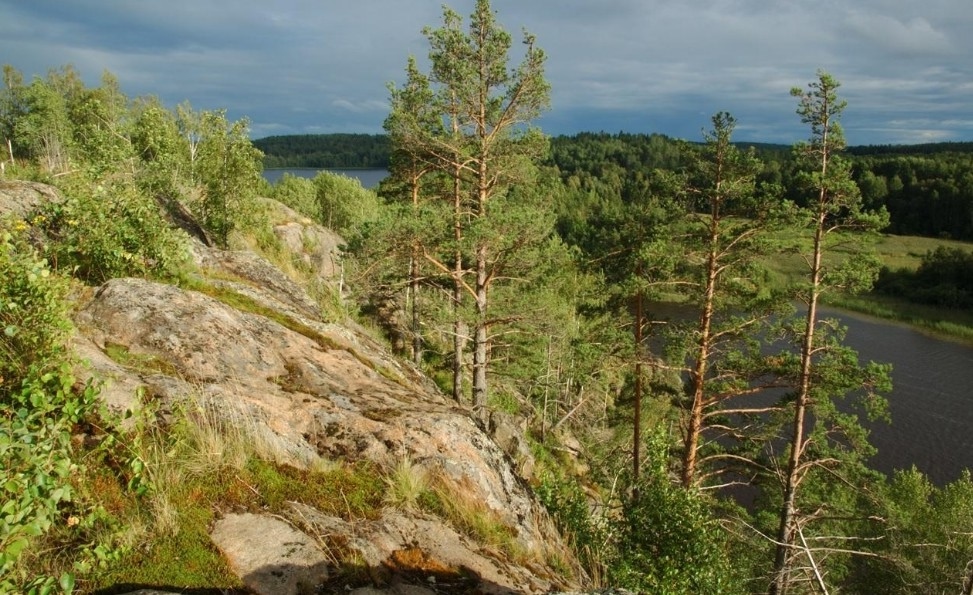 В Карелии сохранилась гора с ущельем, которое прозвали «ледяным колодцем» В Карелии сохранилась гора с ущельем, которое прозвали «ледяным колодцем»