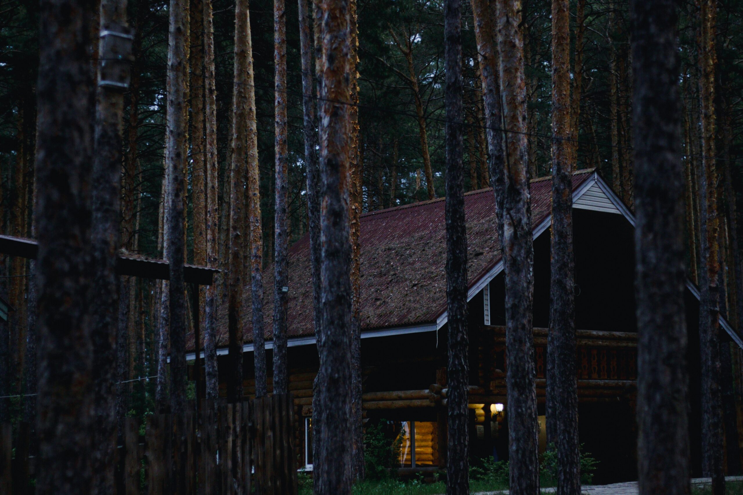 Карельские депутаты предложили узаконить охотничьи избы