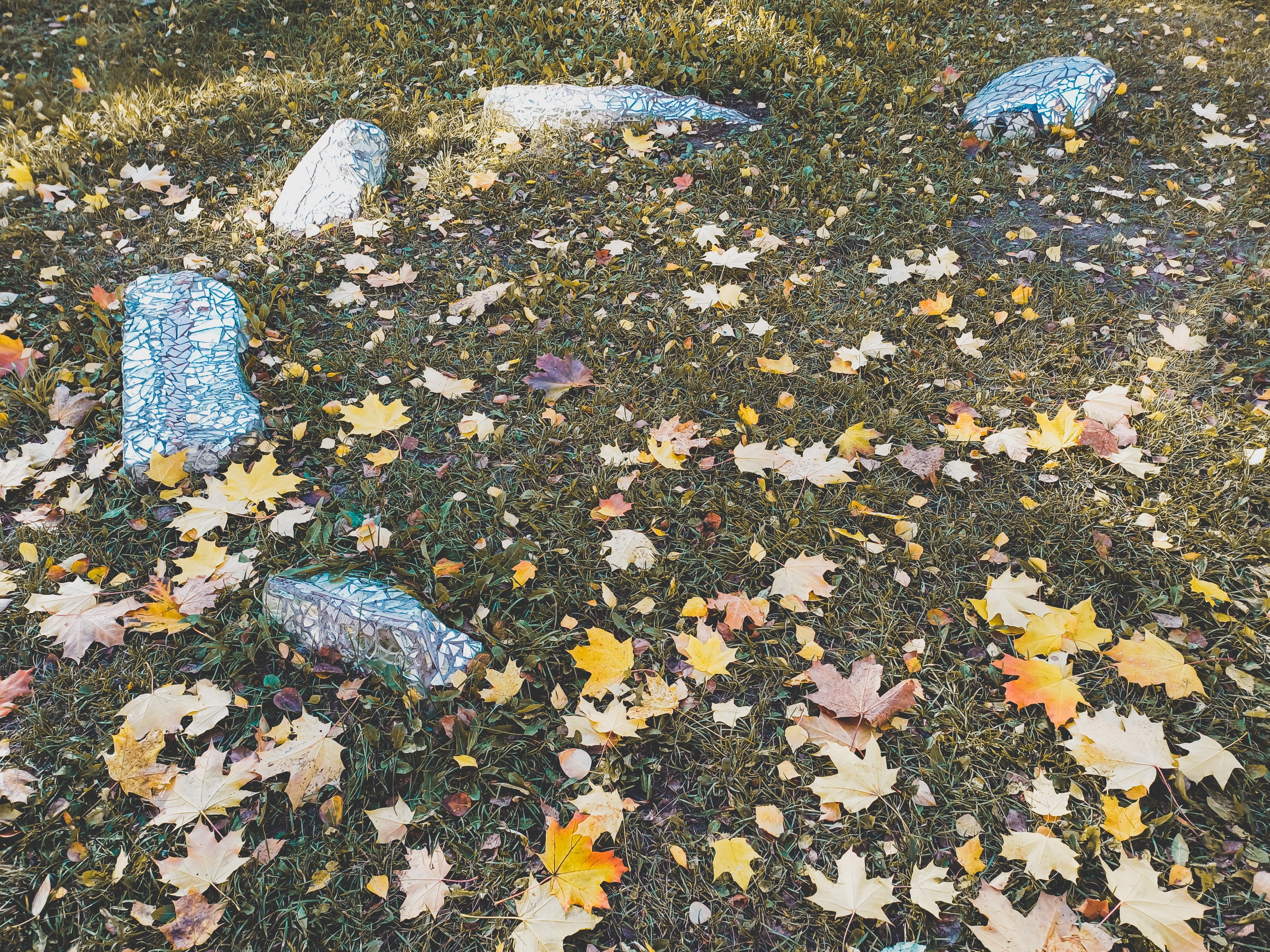 Художник из Петрозаводска превращает бетонные валуны в арт-объекты