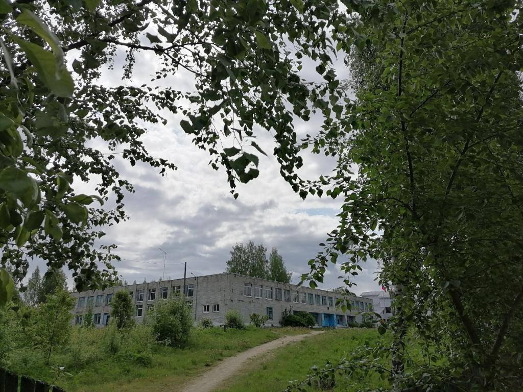 Психологи поработают с учителями Боровской школы, чтобы они не увольнялись