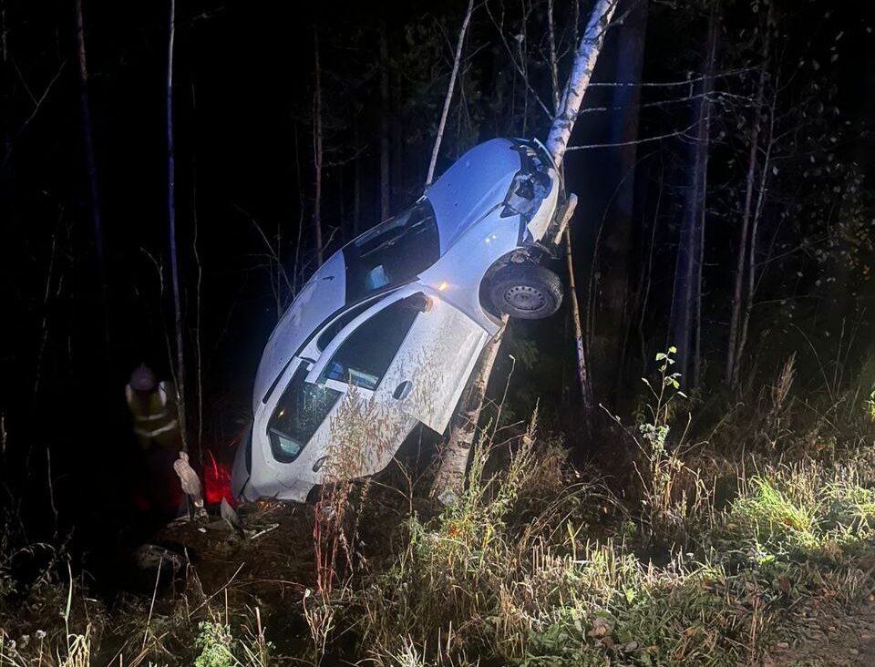 Авто повисло на дереве: три человека пострадали после ДТП в районе Карелии