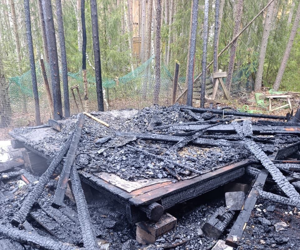 Сгоревшая постройка угрожала сохранности дома в деревне Карелии