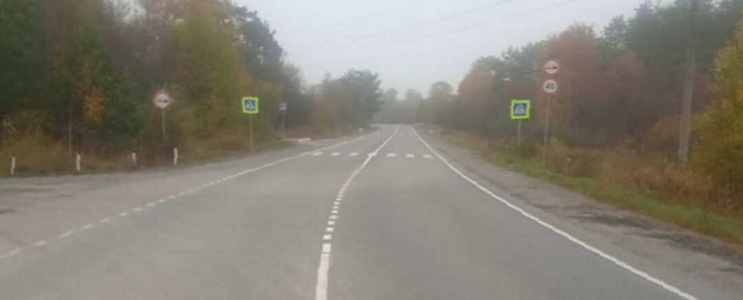 Пенсионеры пострадали в ДТП: в Прионежье кроссовер угодил в кювет