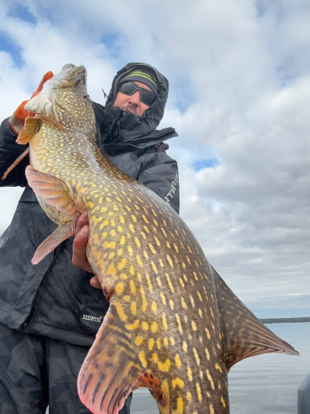 Увесистая дама променяла свободу на фотосессию в Карелии