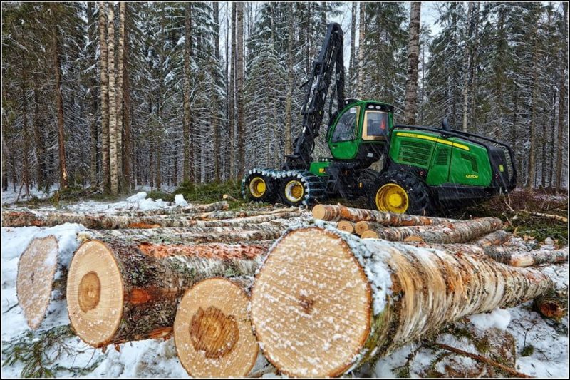 IT-кластер для автоматизации лесной отрасли создают в Карелии