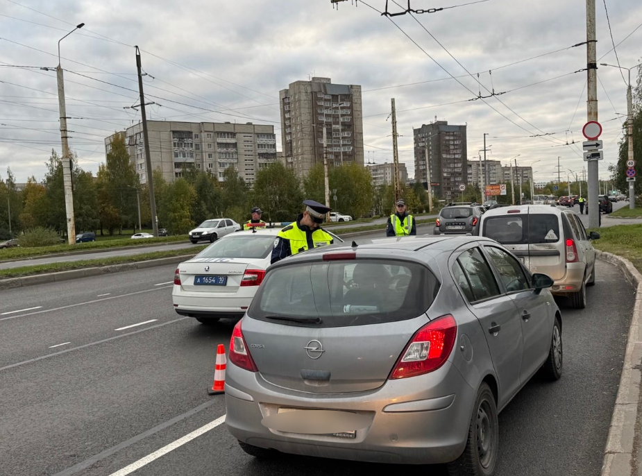 Четыре пешехода погибли в Карелии из-за халатности водителей