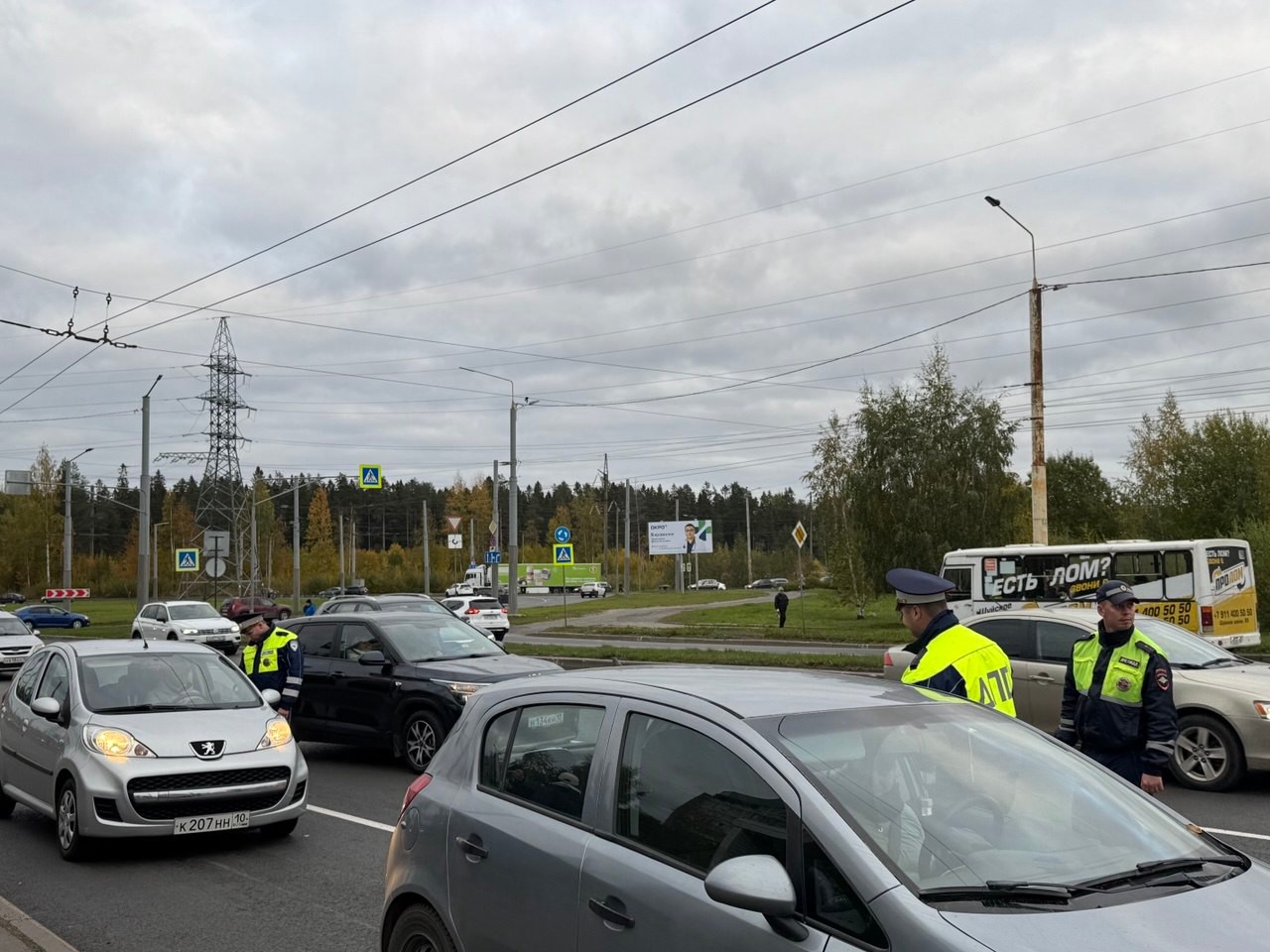 В Карелии задержали 1200 пьяных водителей с начала года