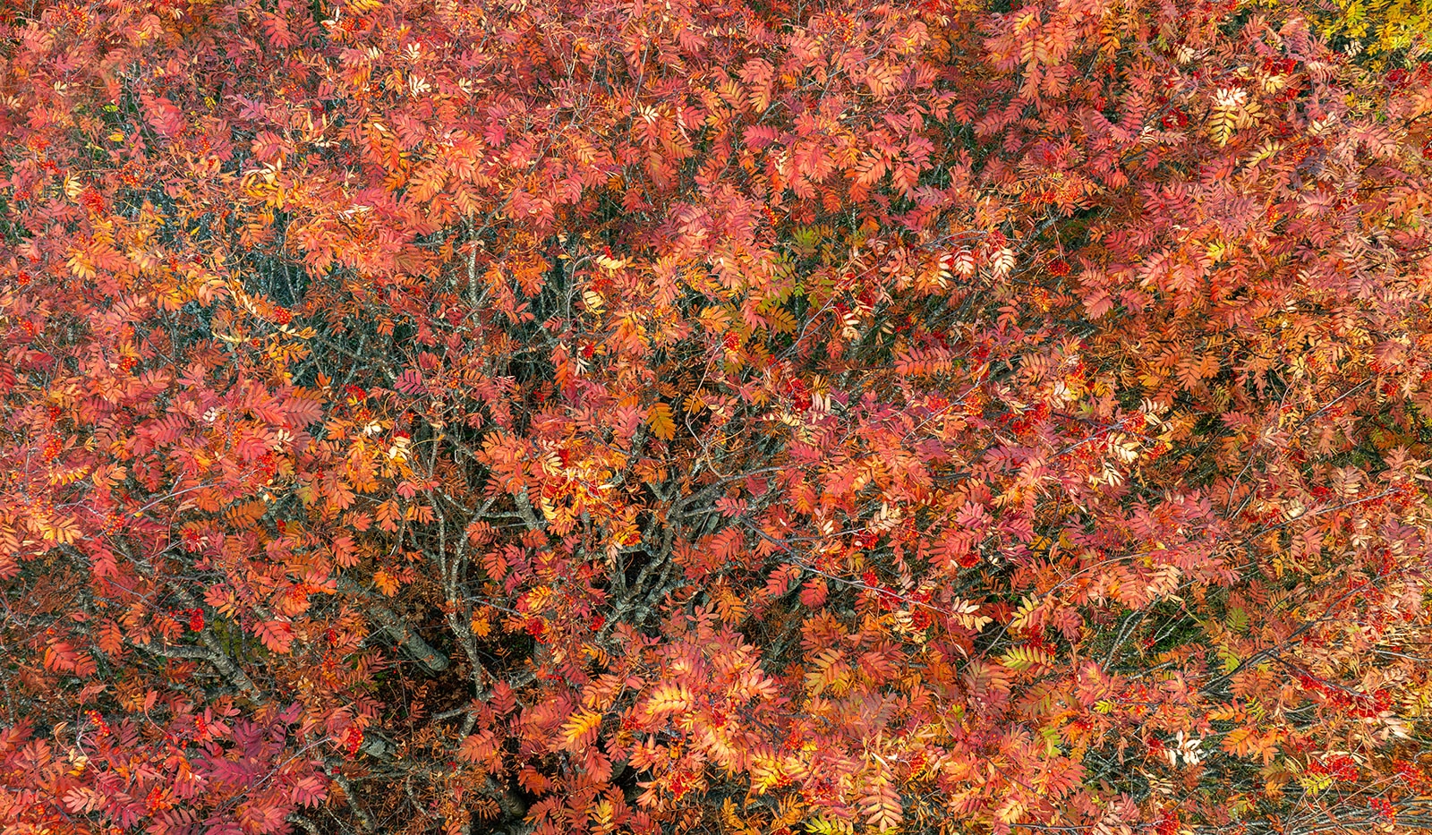 Терпкий октябрь придет в субботнюю Карелию: с тусклым солнцем, легким ветром и насухо