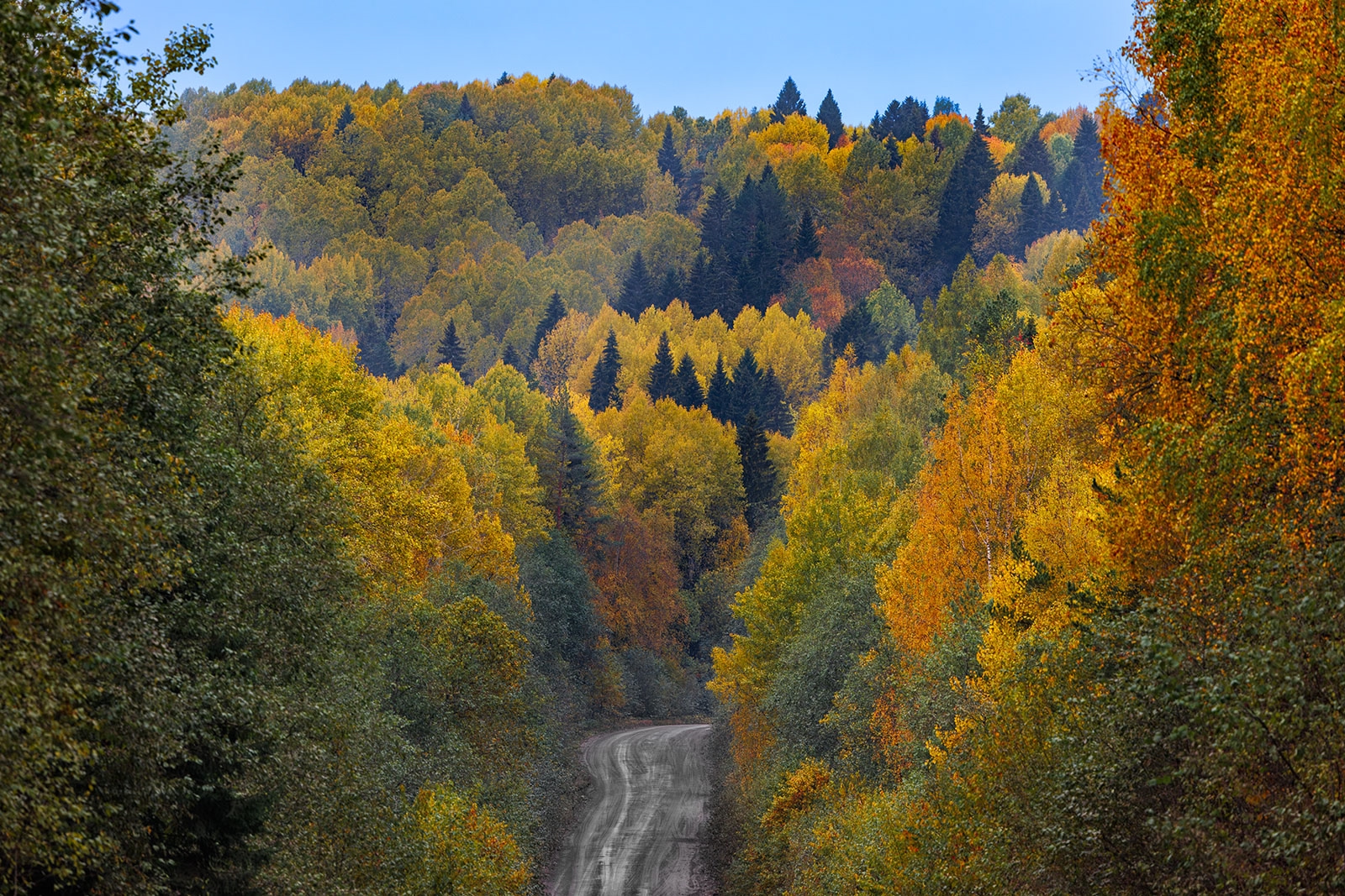 Илья Тимин заготовил фотографий осенней Карелии на всю зиму