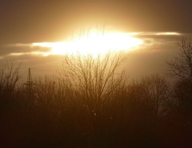 Мощнейший взрыв произошел ночью на Солнце: ученые узнали, куда летит плазма