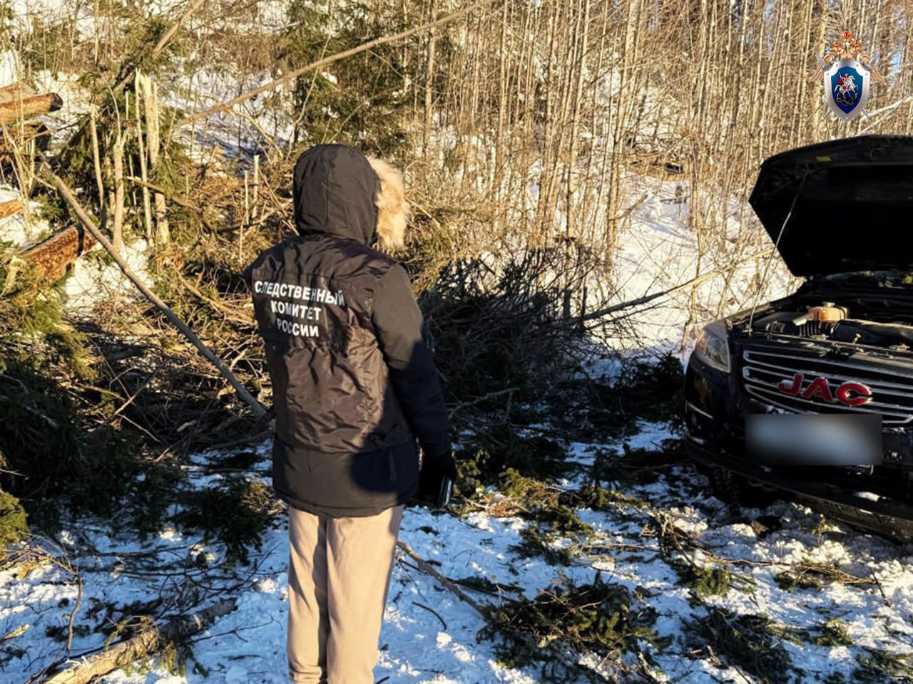 Жителя Сортавалы признали виновным в гибели водителя, на которого упало дерево