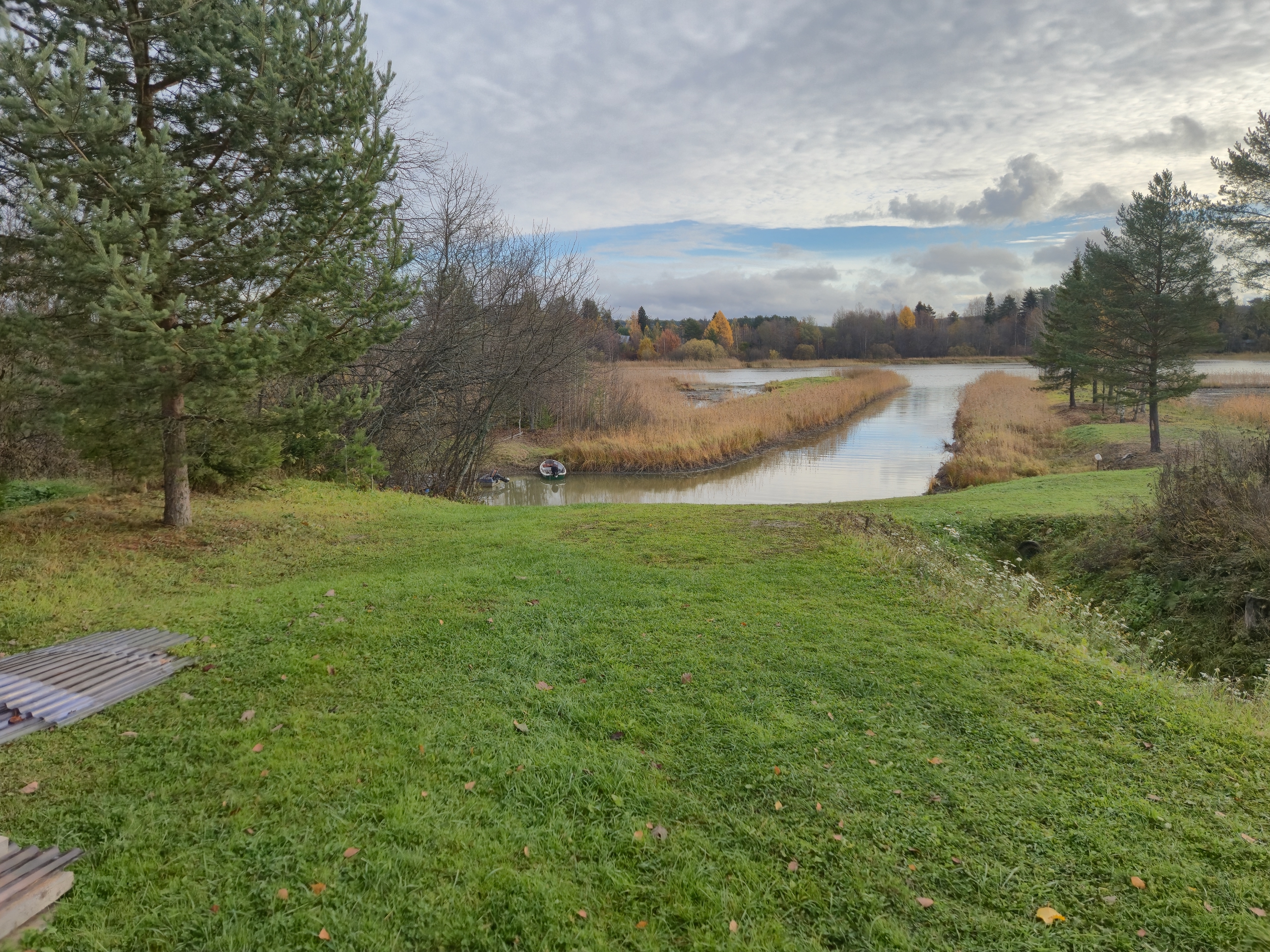 Жители Сортавалы отстаивают свое право на парк с дубами и выход к воде