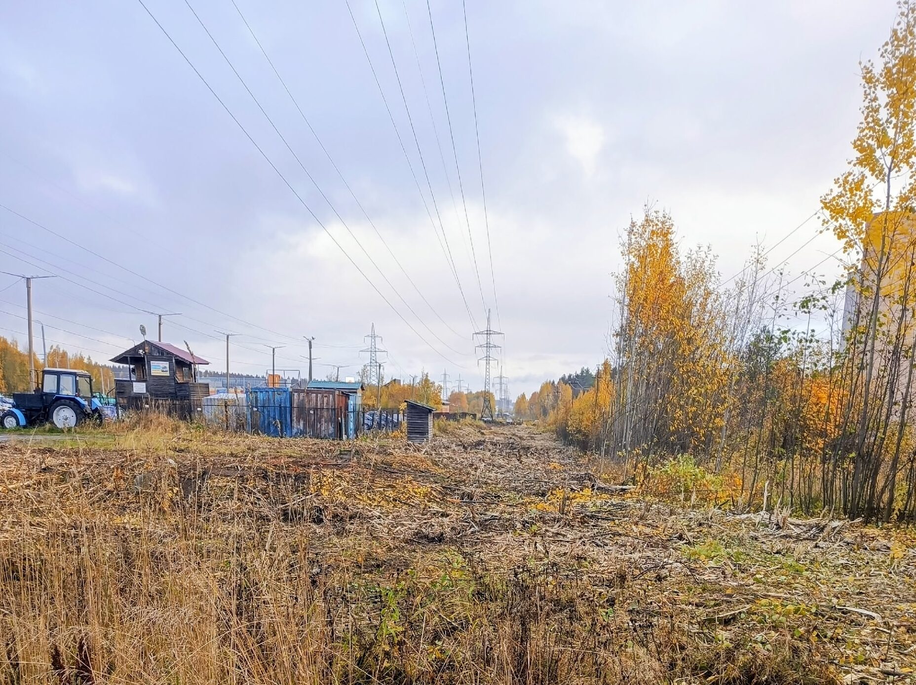 Уничтожены гнезда птиц: деревья и кустарники вырубили у поликлиники в Петрозаводске