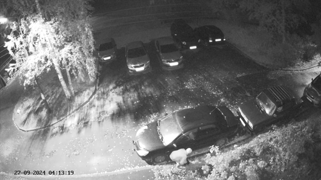 Жильцы дома в Петрозаводске возмутились женщине, которая два года ворует цветы